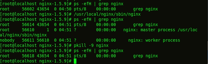 linux下安装nginx实例代码分析