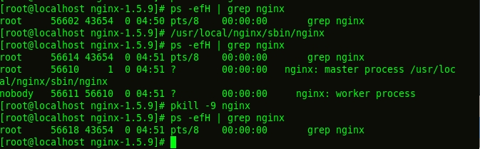 linux下安裝nginx實例代碼分析