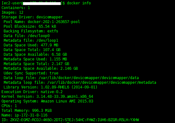 docker快速入门实例分析