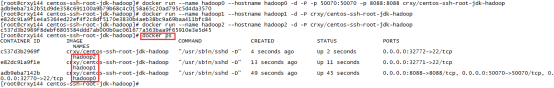 如何使用docker搭建hadoop分布式集群