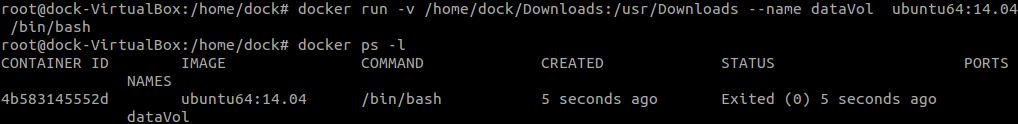 Docker挂载本地目录的方法
