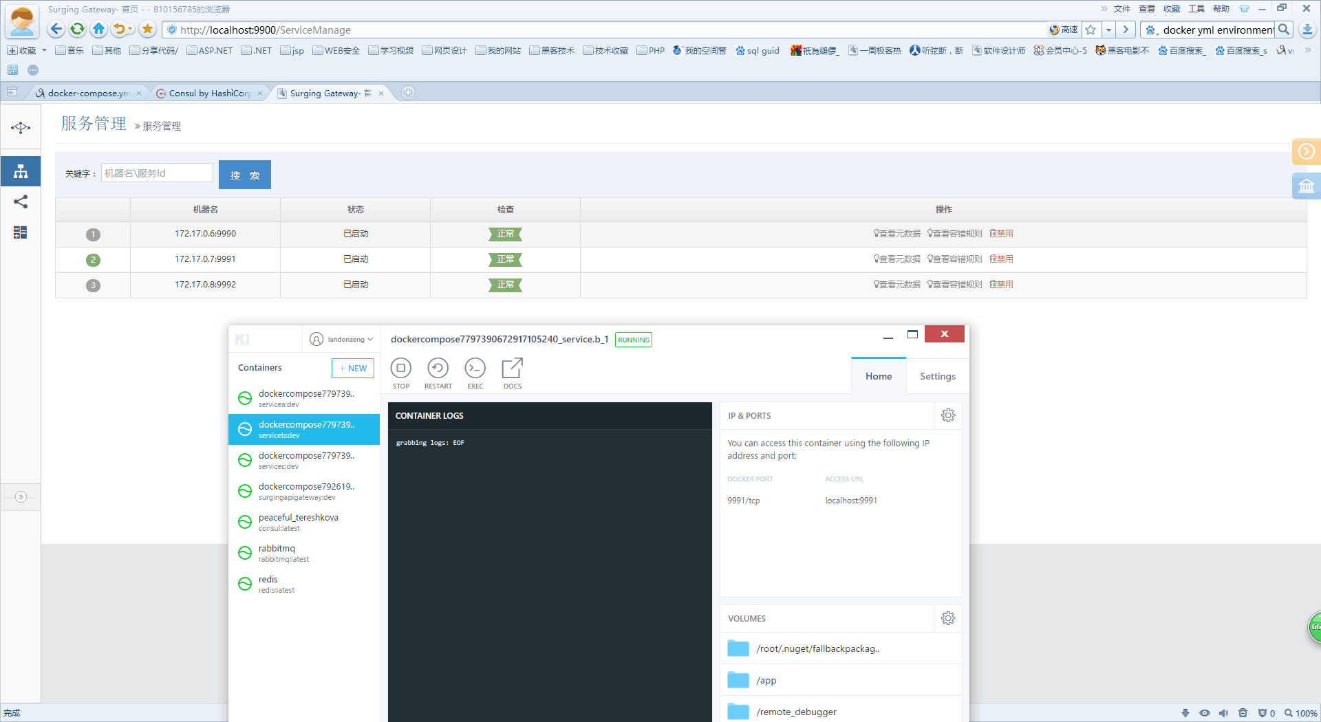 .netcore如何使用surging框架发布到docker中