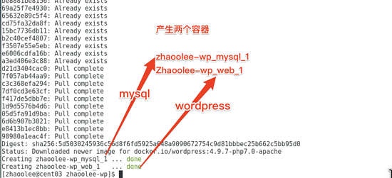 怎么用docker一键安装wordpress