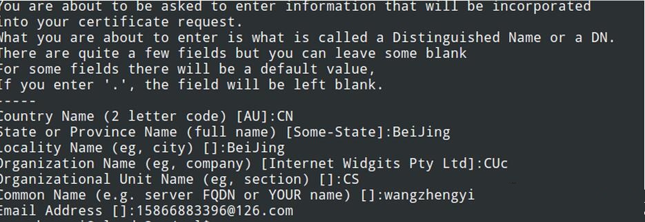 Nginx搭建https服务器实例分析