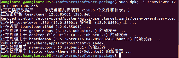 install teamviewer in ubuntu 20.04