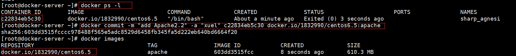 容器Docker入门实例分析