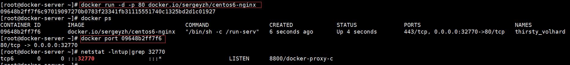 容器Docker入门实例分析