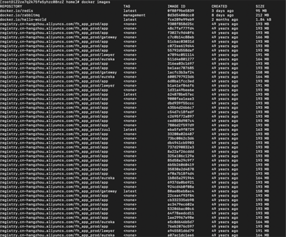 Docker部署服務(wù)的坑實(shí)例分析