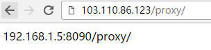 nginx proxy_pass反向代理配置实例分析