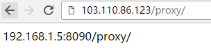 nginx proxy_pass反向代理配置實(shí)例分析