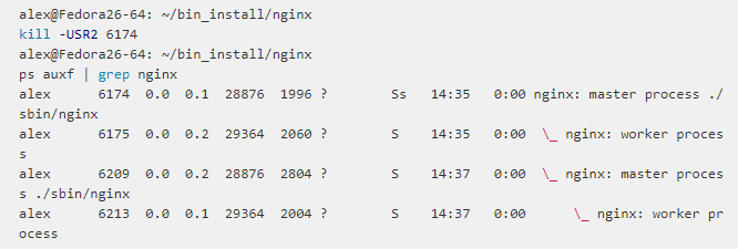 nginx信号集实例分析