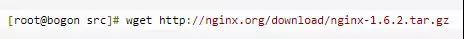 Nginx快速入门实例分析