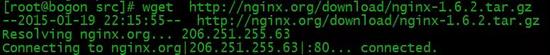 Nginx快速入门实例分析