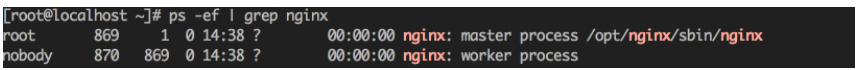 Nginx怎么编译并安装