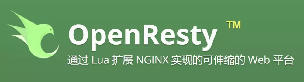 Nginx怎么利用Lua+Redis实现动态封禁IP