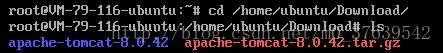 Ubuntu如何安装Tomcat8