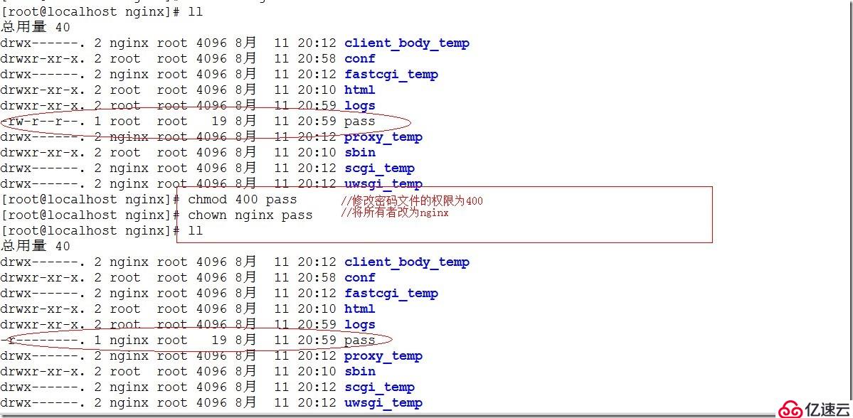 Nginx访问控制与虚拟主机（基于端口，基于域名），内附源码