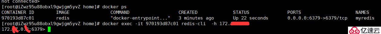 docker 安装部署 redis