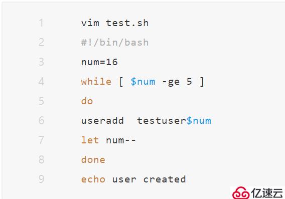 Linux丨shell语句while和until和case使