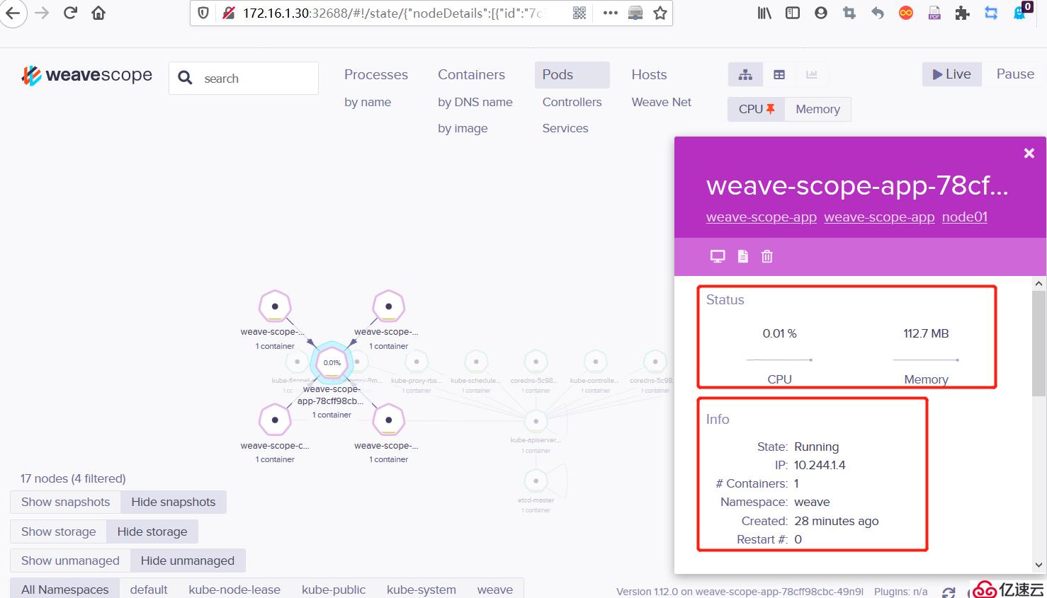 kubernetes Weave Scope的安装和使用