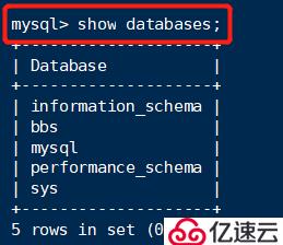 MySQL数据库的基本管理