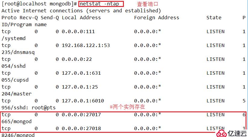 MongoDB安裝與操作大全