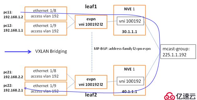 SDN in Action: Deploy VXLAN wi