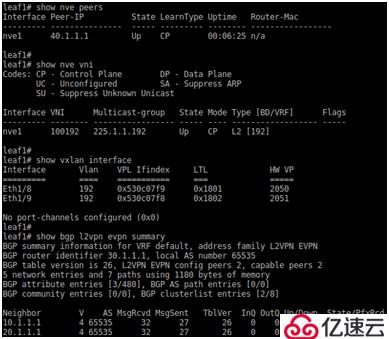 SDN in Action: Deploy VXLAN wi