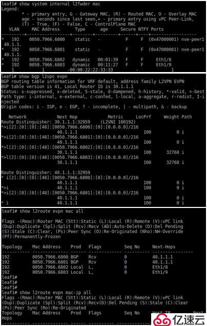 SDN in Action: Deploy VXLAN wi