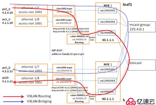 SDN in Action: Deploy VXLAN wi