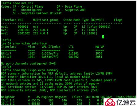 SDN in Action: Deploy VXLAN wi