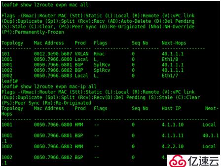 SDN in Action: Deploy VXLAN wi