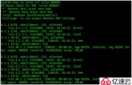 SDN in Action: Deploy VXLAN wi