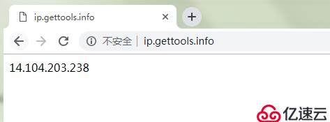 查看本地出口IP