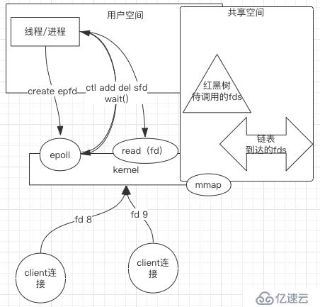 从操作系统层面理解Linux下的网络IO模型