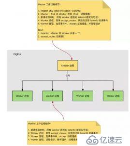 Nginx的運行速度為什么這么快