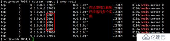 Redis群集部署