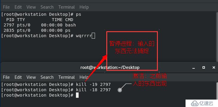 linux如何用命令管理进程