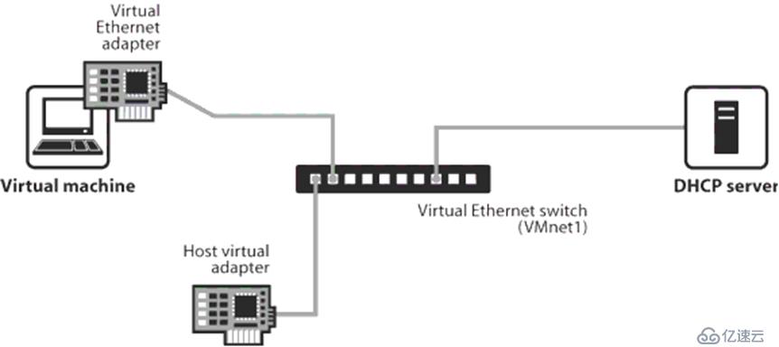 虚拟机Linux网络配置