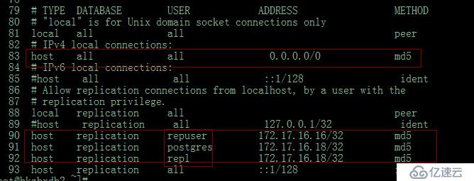 Postgres 11.4 pg_basebackup  P