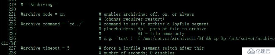 Postgres 11.4 pg_basebackup  P