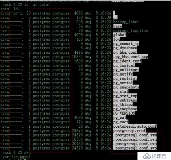 Postgres 11.4 pg_basebackup  P