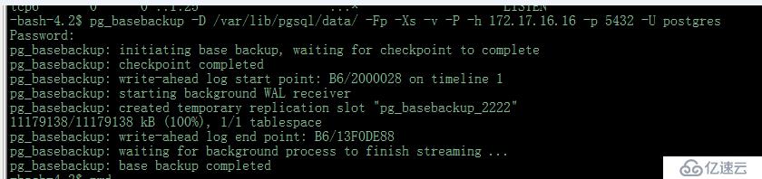 Postgres 11.4 pg_basebackup  P