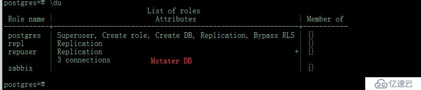 Postgres 11.4 pg_basebackup  P