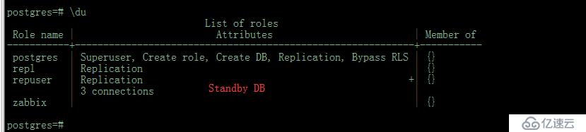 Postgres 11.4 pg_basebackup  P