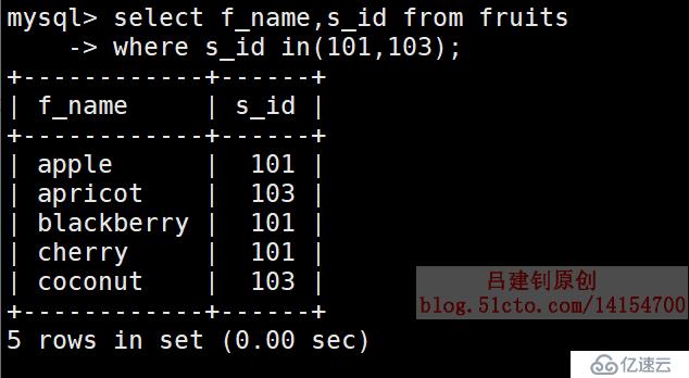 MySQL基本查询示例（1）