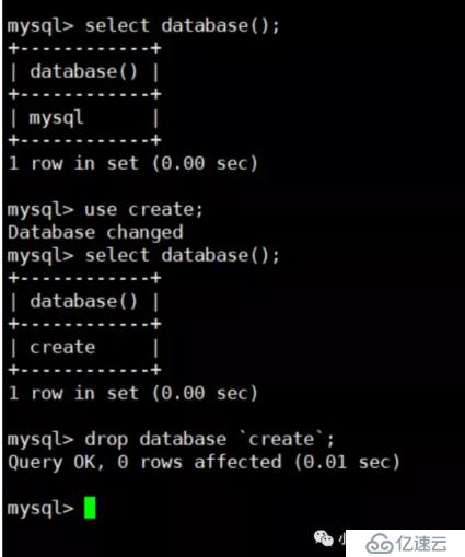 MySQL 数据库的基本使用