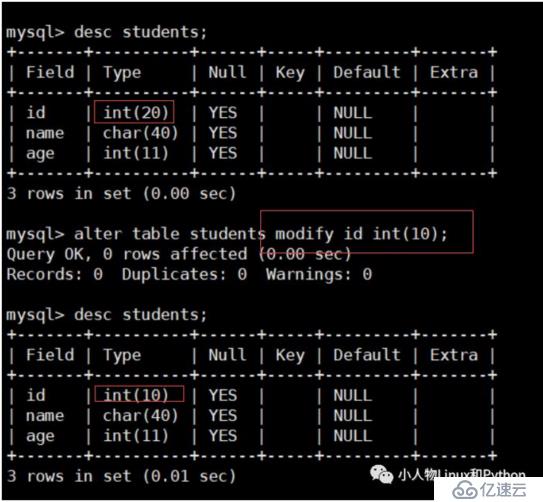 MySQL 数据库的基本使用