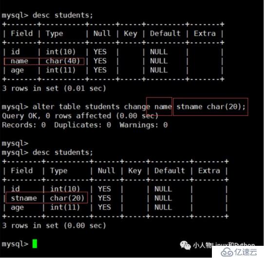 MySQL 数据库的基本使用