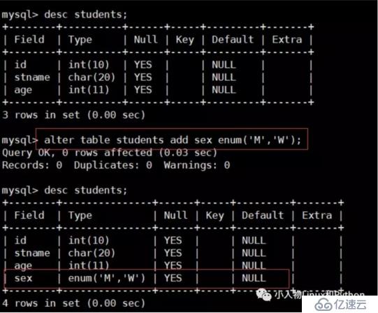 MySQL 数据库的基本使用